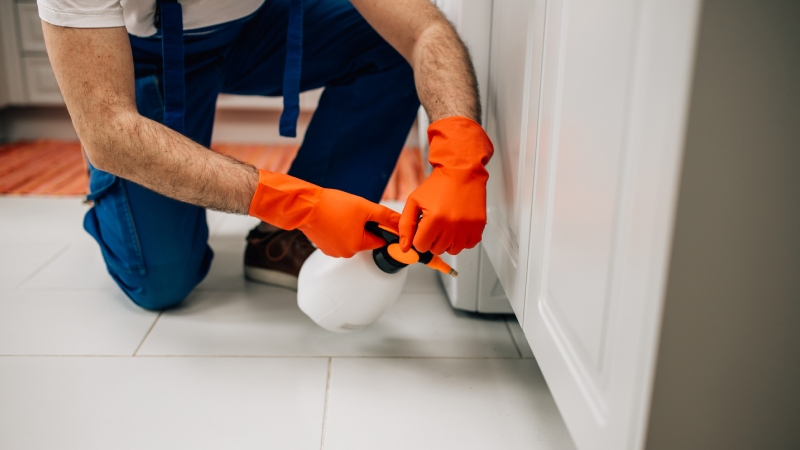 Pest Control in Tomball, Texas