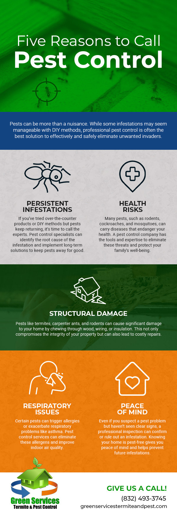 Five Reasons to Call Pest Control