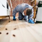 How Residential Pest Control Benefits You