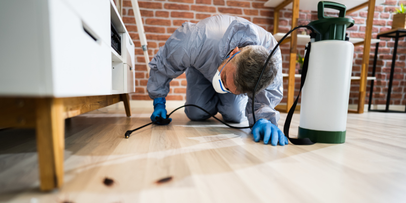 How Residential Pest Control Benefits You
