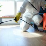 Preventative Cockroach Control: Tips for Keeping Cockroaches Away