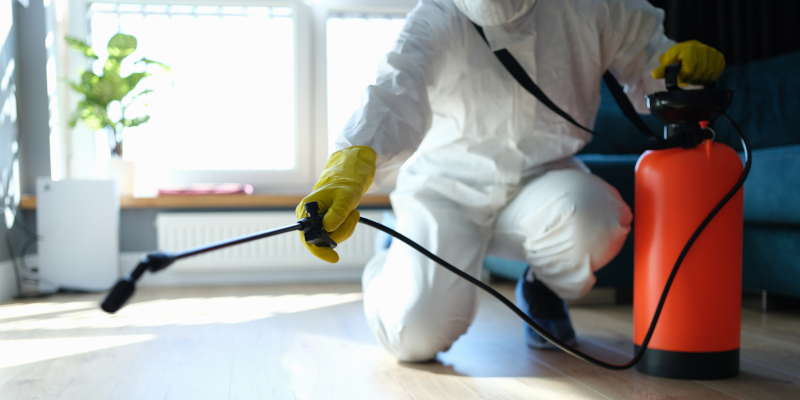 Preventative Cockroach Control: Tips for Keeping Cockroaches Away