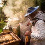 Bee Control