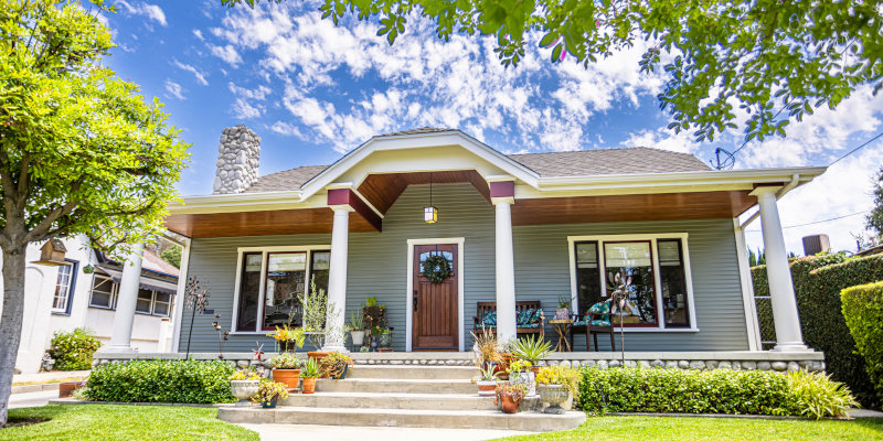 Moth Removal in Humble, Texas