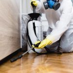 3 Reasons to Use Professional Cockroach Control Services