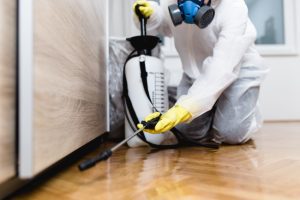 3 Reasons to Use Professional Cockroach Control Services