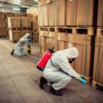 Why Every Business Needs Commercial Pest Control Services