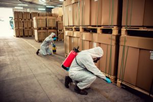 Why Every Business Needs Commercial Pest Control Services