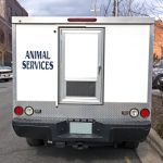 Occasions When You Should Call Animal Control