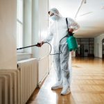 Key Qualities to Look for in an Exterminator