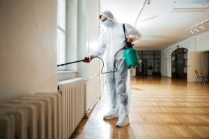 Key Qualities to Look for in an Exterminator