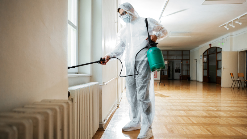Key Qualities to Look for in an Exterminator