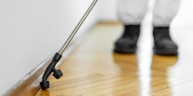 Pest Prevention in Tomball, Texas