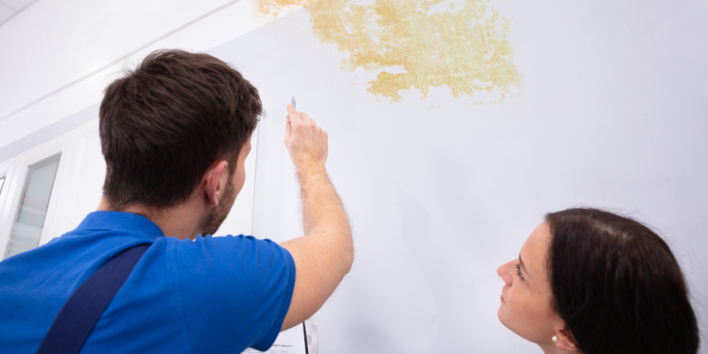 Termite Control in Splendora, Texas