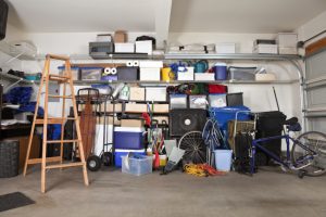 Three Rooms Residential Pest Control Teams Check for Pests