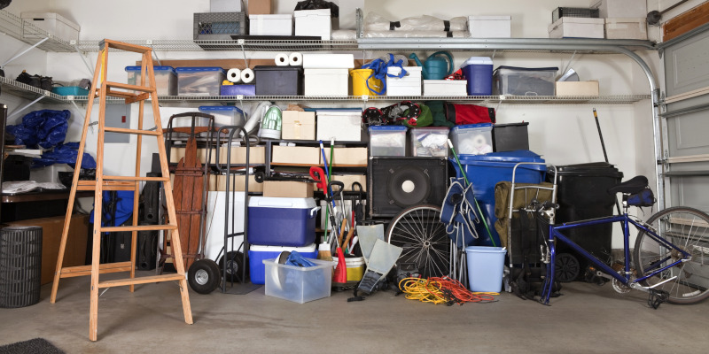 Three Rooms Residential Pest Control Teams Check for Pests