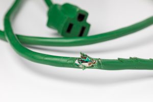 Common Signs You Need Rodent Removal Services