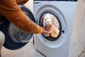 Here’s What to Do After Pest Removal Services