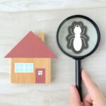 What to Know About Termite Control